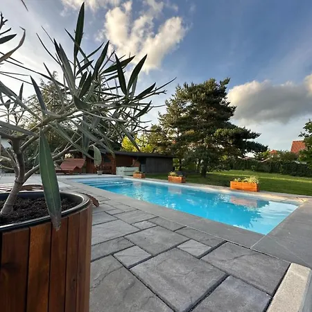 Einzigartiges Haus Mit Pool Grossem Garten Und Kamin Bad Salzungen