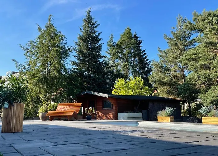 Einzigartiges Haus Mit Pool Grossem Garten Und Kamin Bad Salzungen
