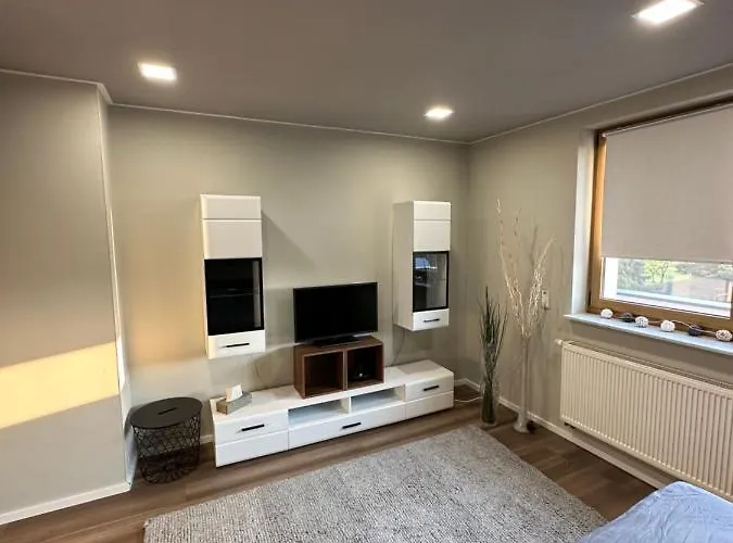 Einzigartiges Haus Mit Pool Grossem Garten Und Kamin Bad Salzungen